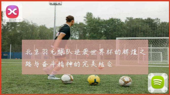 北京羽毛球队逆袭世界杯的辉煌之路与奋斗精神的完美结合