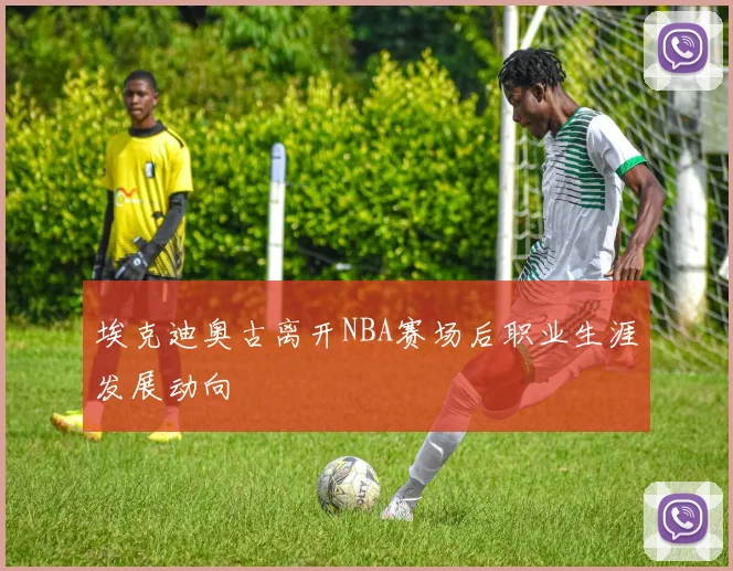 埃克迪奥古离开NBA赛场后职业生涯发展动向
